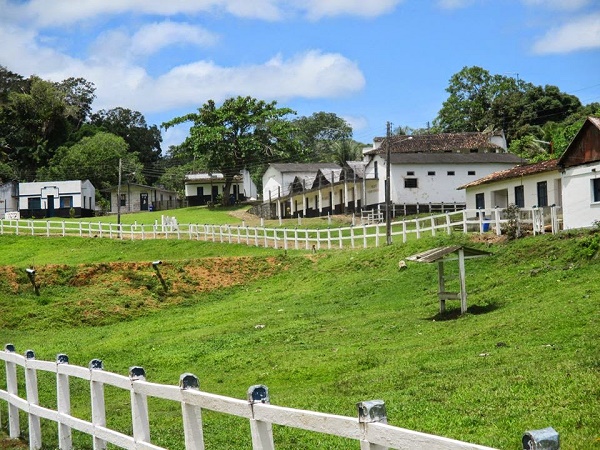 Resultado de imagem para Grupo Chaves Agrícola e Pastoril Ltda