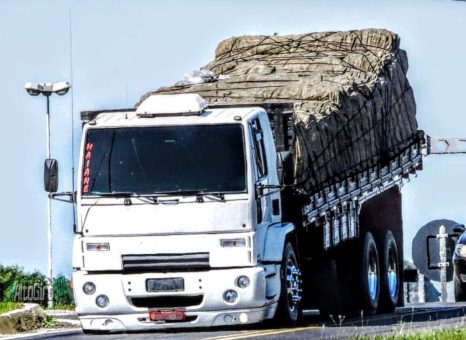 Caminhao Scania Arqueado